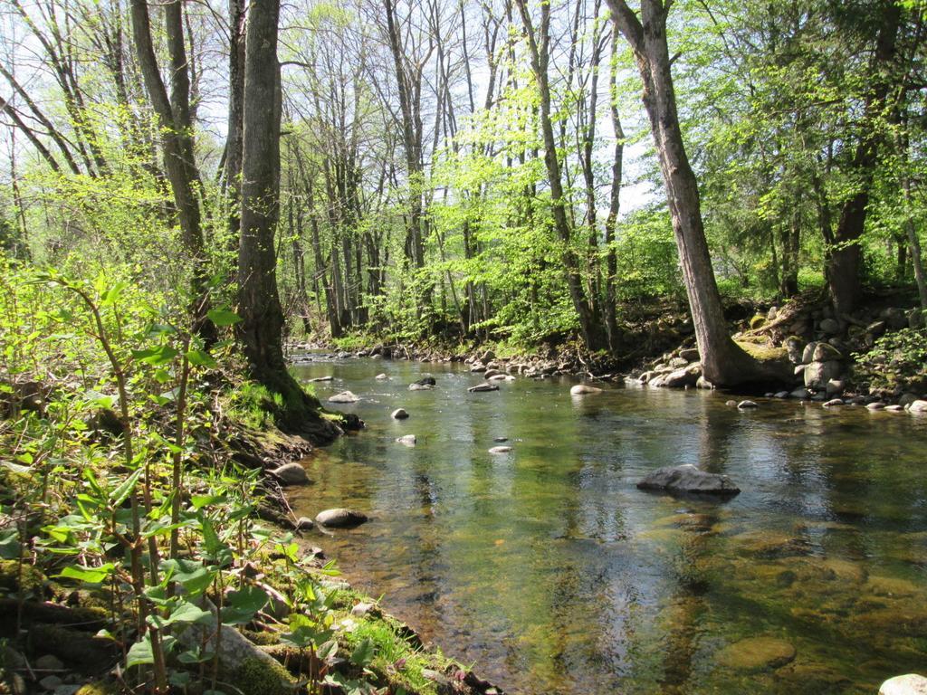 Camping De Masevaux Экстерьер фото