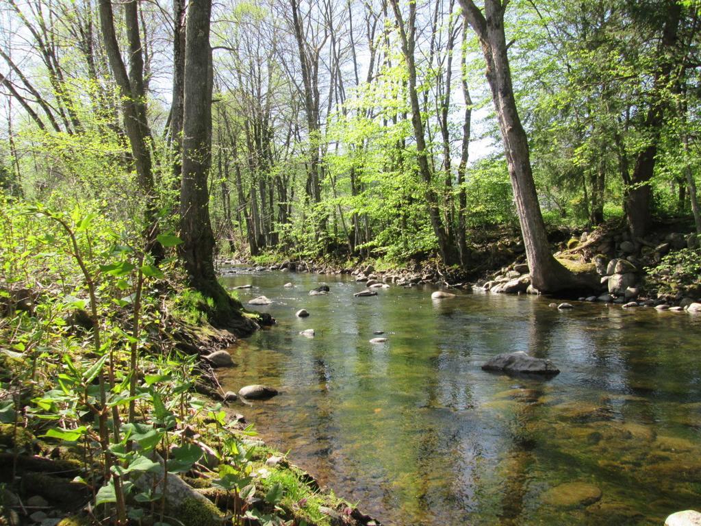 Отель Camping De Masevaux Экстерьер фото